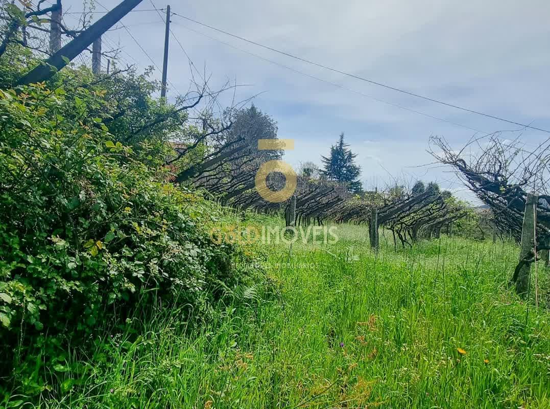 Terreno Para Construção  Venda em Santa Maria de Sardoura,Castelo de Paiva