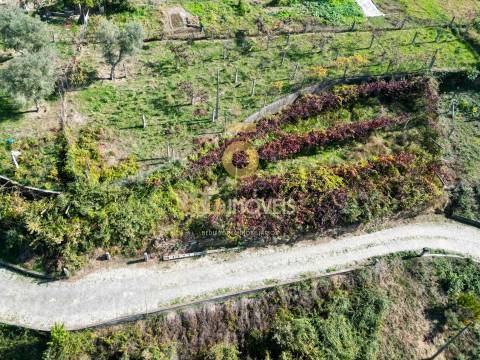 Terreno Para Construção  Venda em Santa Maria de Sardoura,Castelo de Paiva