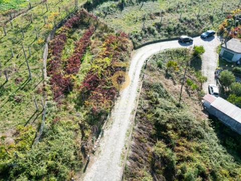 Terreno Para Construção  Venda em Santa Maria de Sardoura,Castelo de Paiva