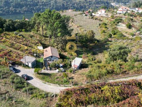Terreno Para Construção  Venda em Santa Maria de Sardoura,Castelo de Paiva