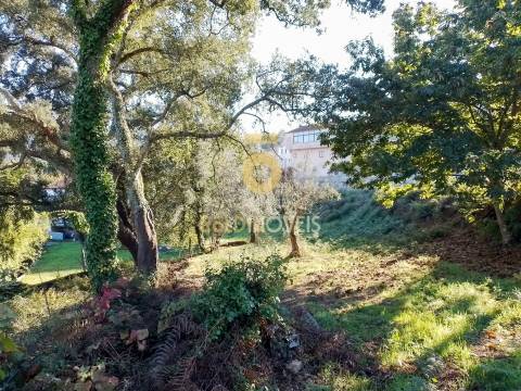 Terreno Para Construção  Venda em Real,Castelo de Paiva