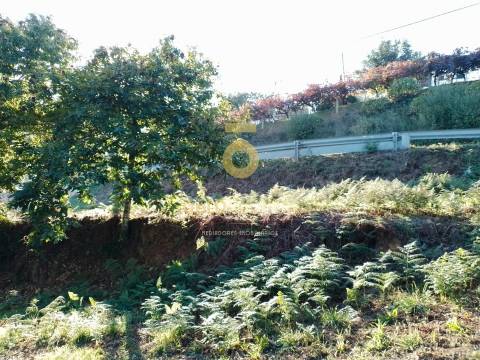 Terreno Para Construção  Venda em Real,Castelo de Paiva