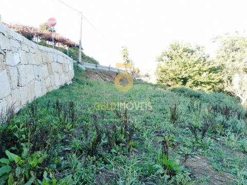 Terreno Para Construção  Venda em Real,Castelo de Paiva