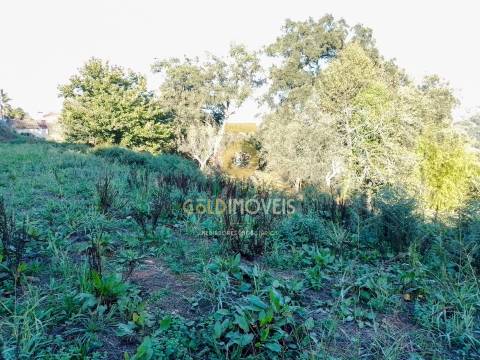 Terreno Para Construção  Venda em Real,Castelo de Paiva