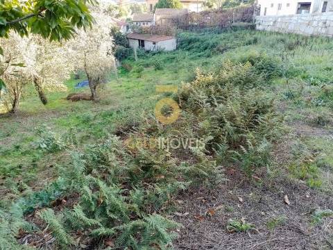 Terreno Para Construção  Venda em Real,Castelo de Paiva