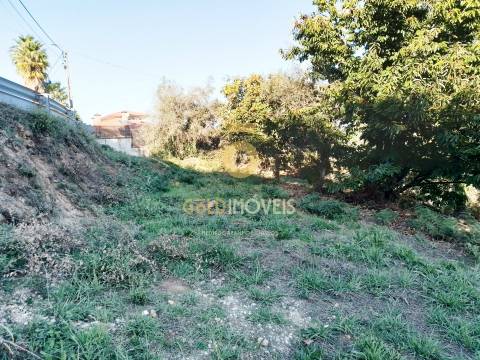 Terreno Para Construção  Venda em Real,Castelo de Paiva