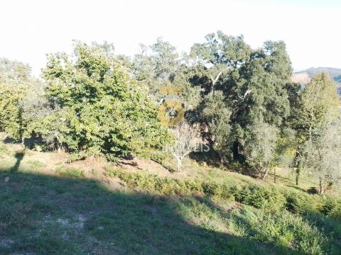 Terreno Para Construção  Venda em Real,Castelo de Paiva