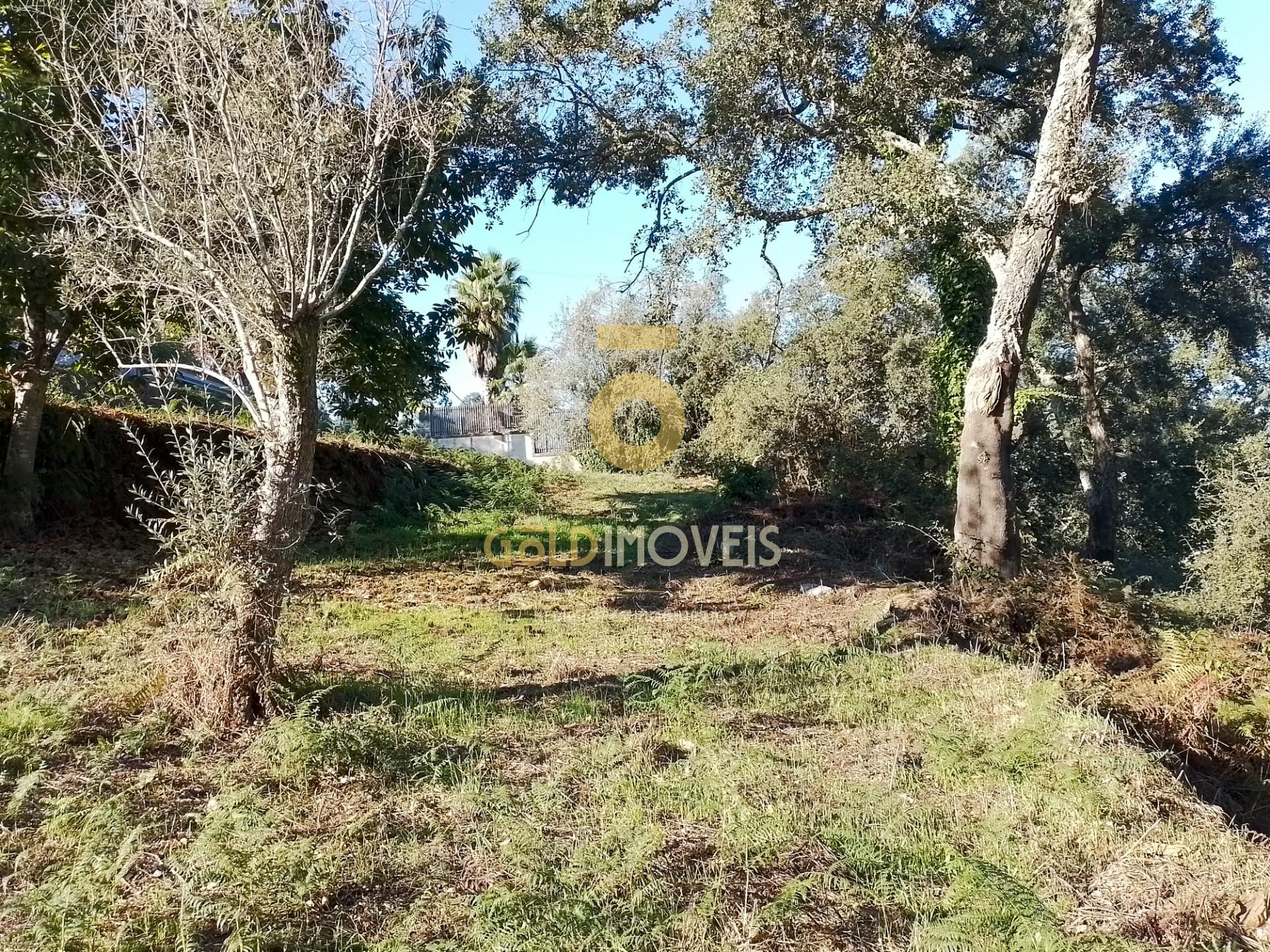 Terreno Para Construção  Venda em Real,Castelo de Paiva