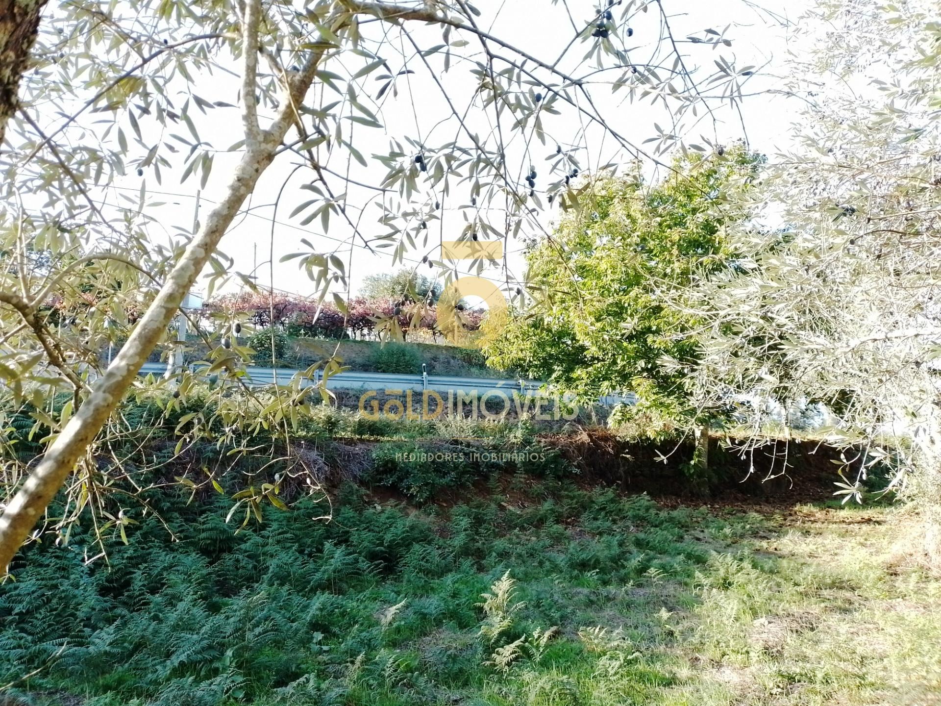 Terreno Para Construção  Venda em Real,Castelo de Paiva