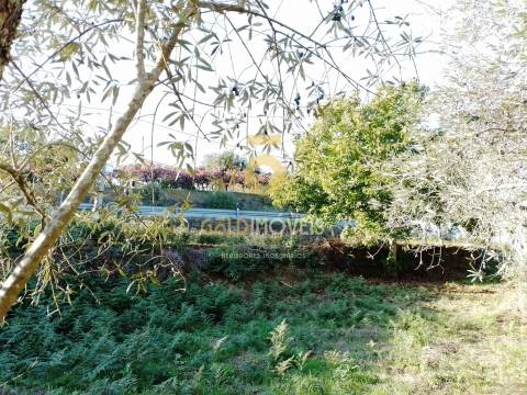 Terreno Para Construção  Venda em Real,Castelo de Paiva