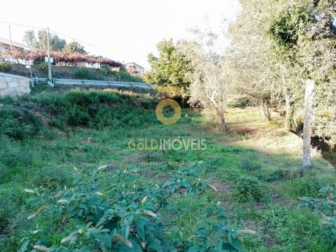 Terreno Para Construção  Venda em Real,Castelo de Paiva