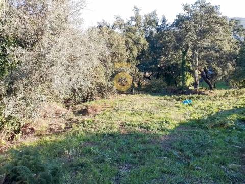 Terreno Para Construção  Venda em Real,Castelo de Paiva