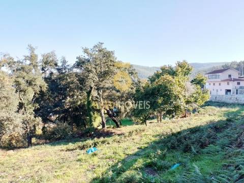 Terreno Para Construção  Venda em Real,Castelo de Paiva