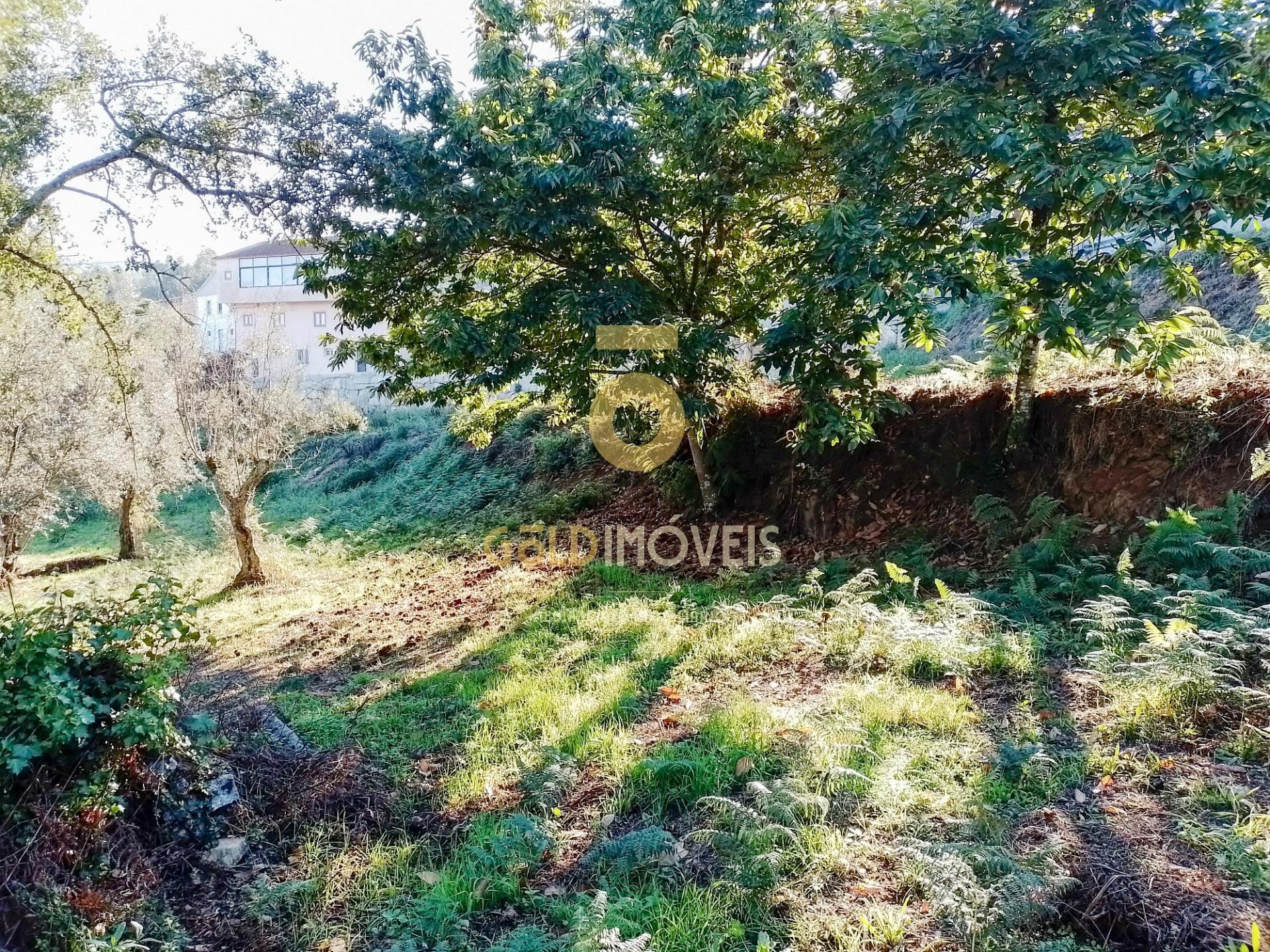 Terreno Para Construção  Venda em Real,Castelo de Paiva