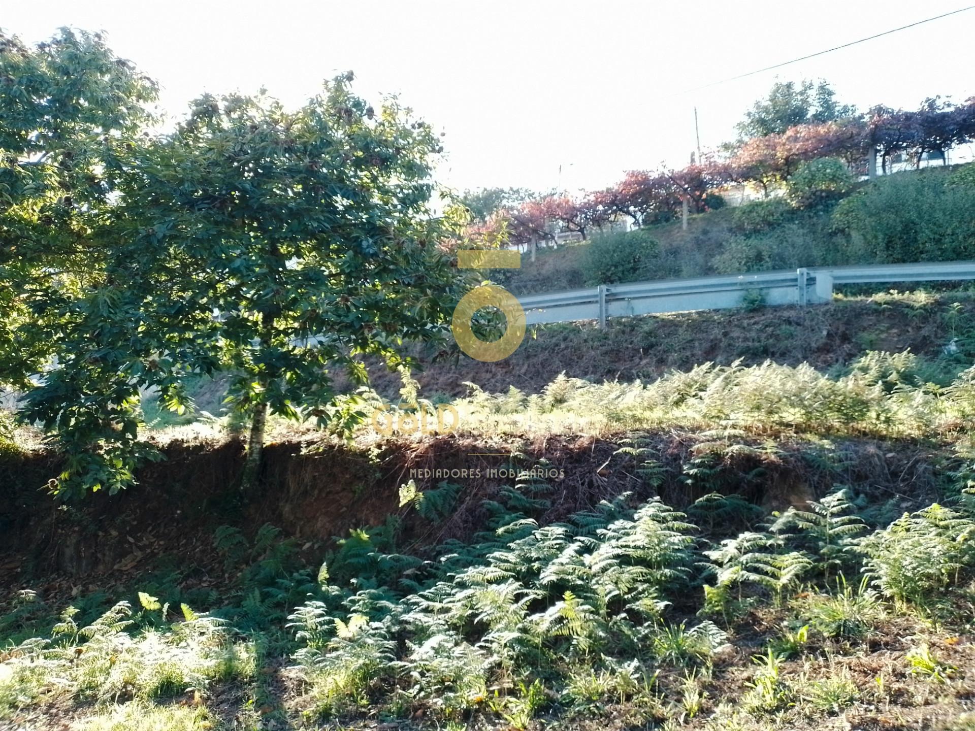Terreno Para Construção  Venda em Real,Castelo de Paiva