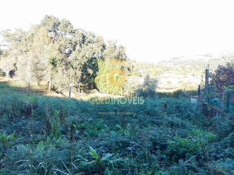 Terreno Para Construção  Venda em Real,Castelo de Paiva