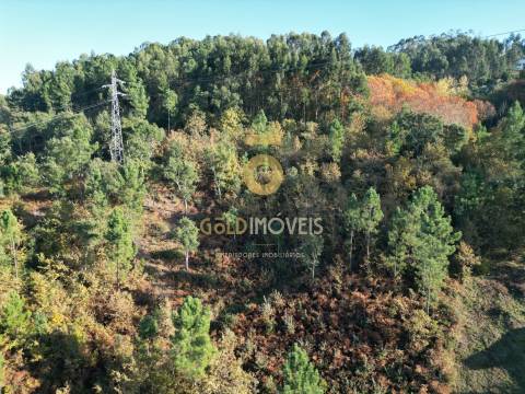 Terreno  Venda em Fornos,Castelo de Paiva
