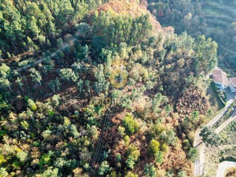 Terreno  Venda em Fornos,Castelo de Paiva
