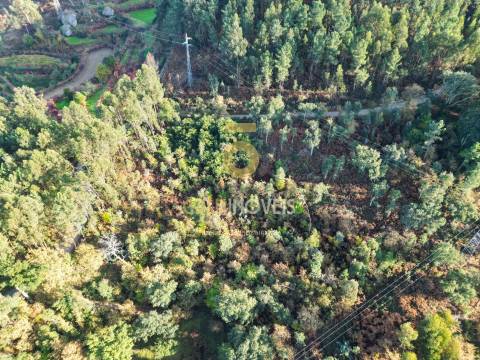 Terreno  Venda em Fornos,Castelo de Paiva