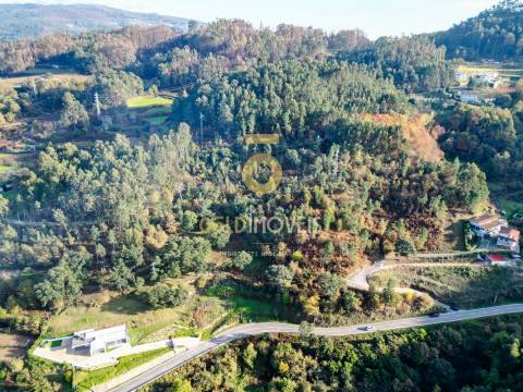 Terreno  Venda em Fornos,Castelo de Paiva