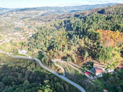 Terreno  Venda em Fornos,Castelo de Paiva