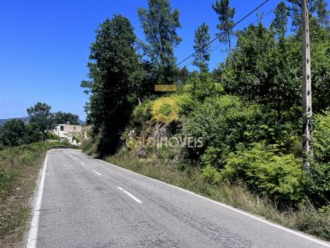 Terreno  Venda em Fornos,Castelo de Paiva