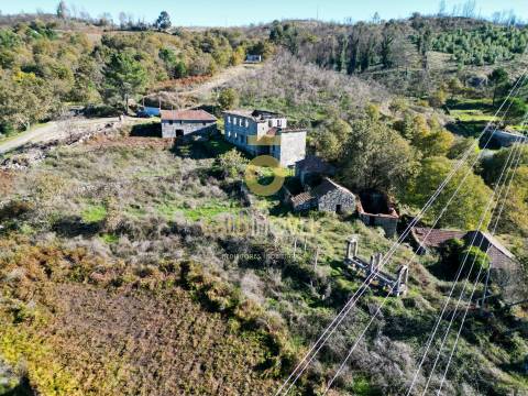 Quinta  Venda em Grilo,Baião