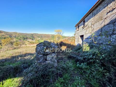 Quinta  Venda em Grilo,Baião