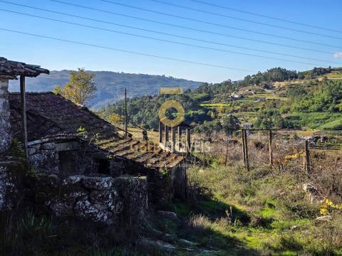 Quinta  Venda em Grilo,Baião