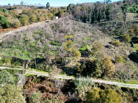 Terreno Rústico  Venda em Grilo,Baião