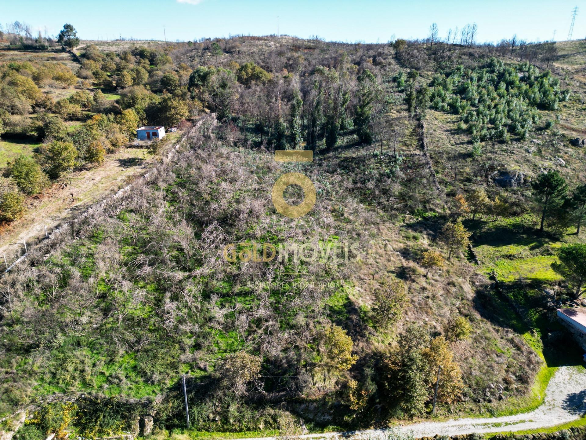 Terreno Rústico  Venda em Grilo,Baião