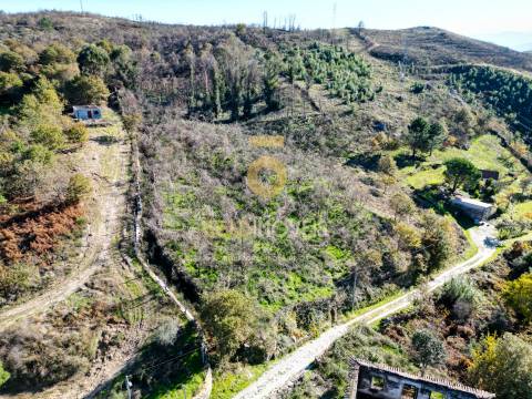 Terreno Rústico  Venda em Grilo,Baião