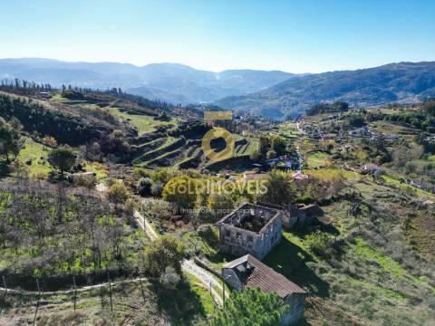 Terreno Rústico  Venda em Grilo,Baião