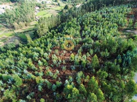 Terreno Rústico  Venda em São Roque,Oliveira de Azeméis