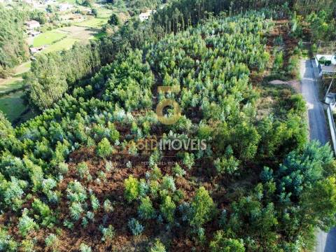 Terreno Rústico  Venda em São Roque,Oliveira de Azeméis
