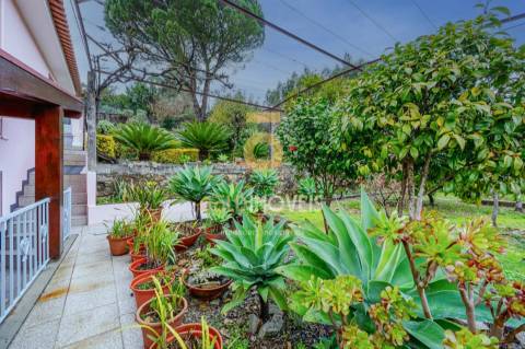 Moradia Isolada T3+1 Venda em São Roque,Oliveira de Azeméis