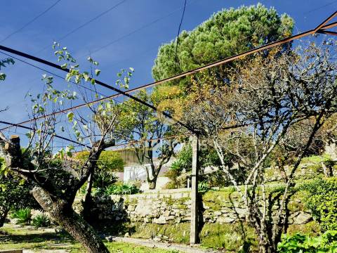 Moradia Isolada T3+1 Venda em São Roque,Oliveira de Azeméis