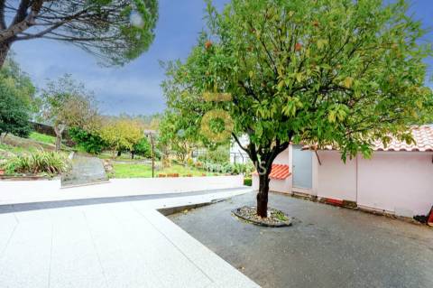 Moradia Isolada T3+1 Venda em São Roque,Oliveira de Azeméis