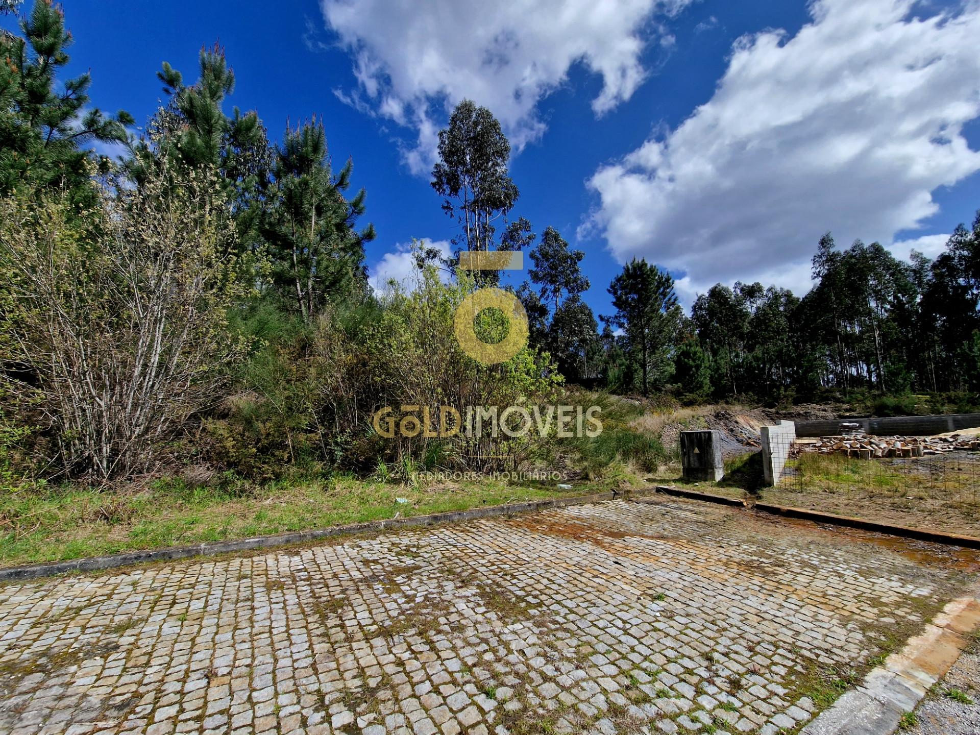 Lote de Terreno  Venda em Canedo, Vale e Vila Maior,Santa Maria da Feira