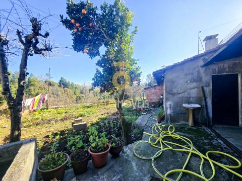 Moradia Isolada T3 Venda em Oliveira de Azeméis, Santiago de Riba-Ul, Ul, Macinhata da Seixa e Madail,Oliveira de Azeméis
