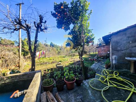 Moradia Isolada T3 Venda em Oliveira de Azeméis, Santiago de Riba-Ul, Ul, Macinhata da Seixa e Madail,Oliveira de Azeméis