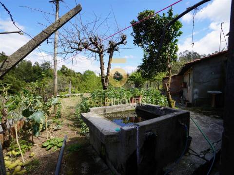 Moradia Isolada T3 Venda em Oliveira de Azeméis, Santiago de Riba-Ul, Ul, Macinhata da Seixa e Madail,Oliveira de Azeméis