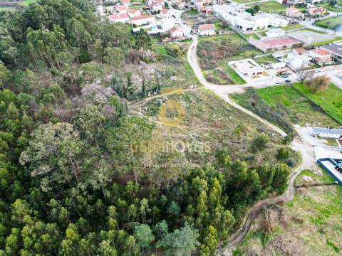 Terreno com 9.092 m² em Duas Igrejas – Penafiel