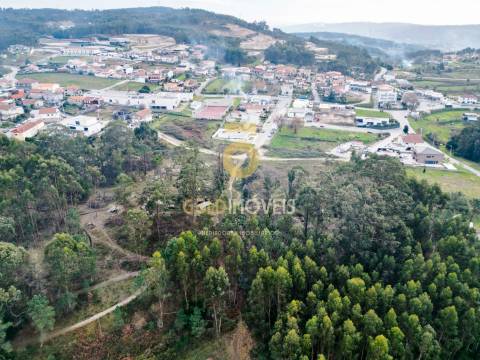 Terreno com 9.092 m² em Duas Igrejas – Penafiel
