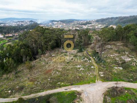 Terreno com 9.092 m² em Duas Igrejas – Penafiel