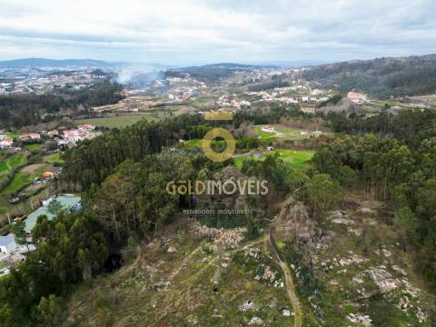 Terreno com 9.092 m² em Duas Igrejas – Penafiel