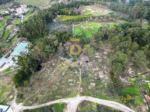Terreno com 9.092 m² em Duas Igrejas – Penafiel