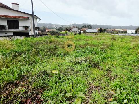 Terreno Rústico  Venda em Oliveira de Azeméis, Santiago de Riba-Ul, Ul, Macinhata da Seixa e Madail,Oliveira de Azeméis