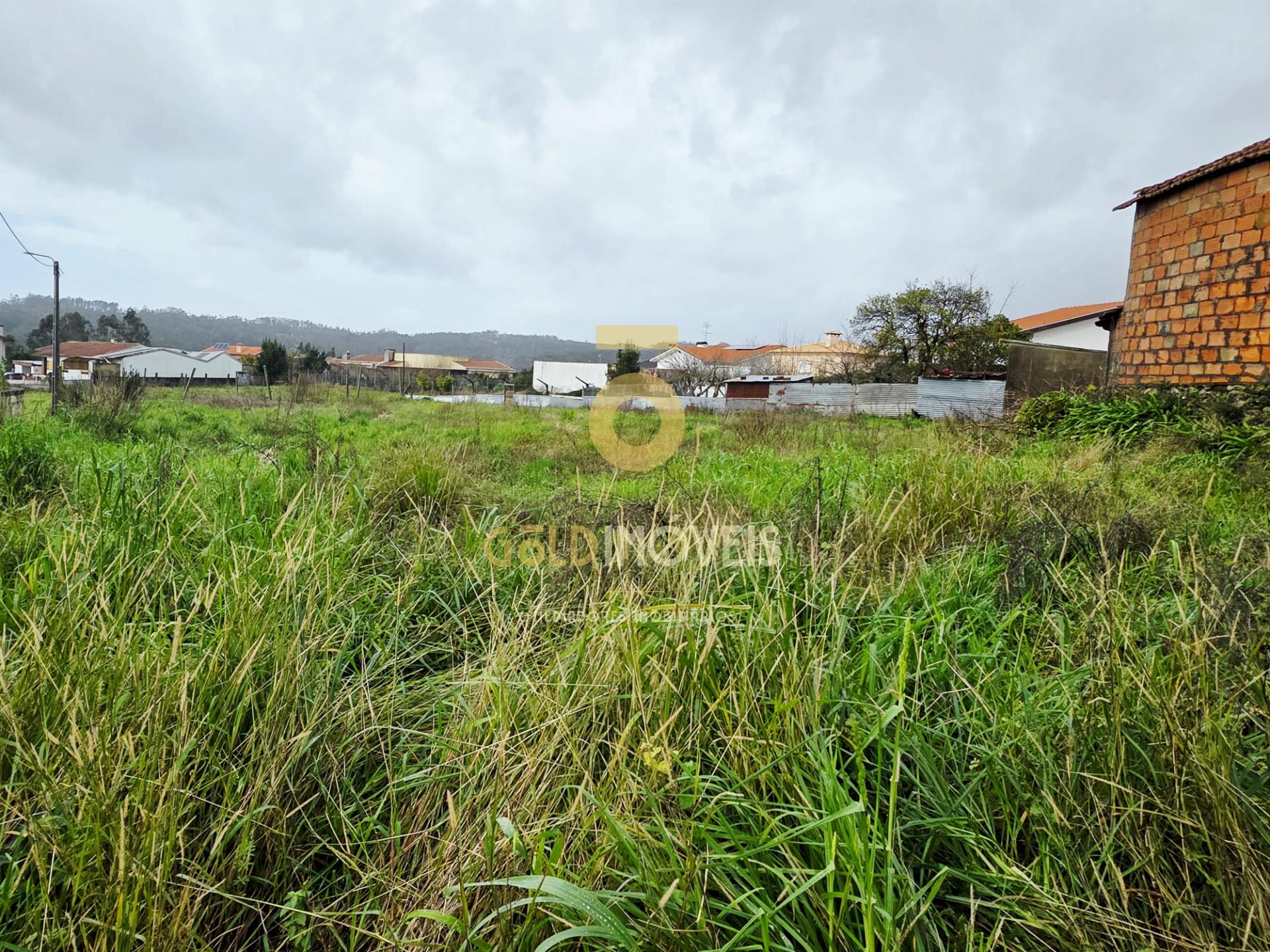 Terreno Rústico  Venda em Oliveira de Azeméis, Santiago de Riba-Ul, Ul, Macinhata da Seixa e Madail,Oliveira de Azeméis