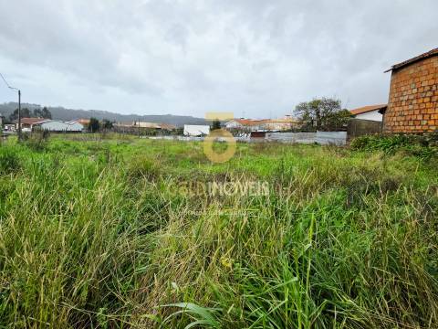 Terreno Rústico  Venda em Oliveira de Azeméis, Santiago de Riba-Ul, Ul, Macinhata da Seixa e Madail,Oliveira de Azeméis